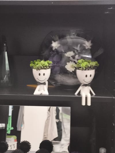 The image shows a dark shelving unit. On the top shelf, two white planter pots shaped like cartoon figures with smiley faces and bow ties sit. The figures have green plants growing out of their heads. Behind them is a bouquet of white flowers wrapped in clear plastic. To the left of the planters is a dark, vertical object that appears to be a bottle. The shelf below is partially visible and shows a reflection of items on another shelf, including clothing and black, spiky objects. The scene is likely an indoor setting, possibly a home or store, and there is no indication of the city of Troisdorf, Germany.