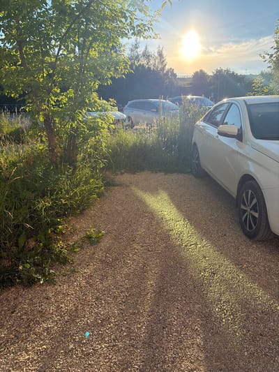 The image depicts a gravel parking area with several cars parked under a bright, sunlit sky. The sun is positioned high in the sky, casting long shadows and illuminating the scene. In the foreground, a white car is visible on the right side of the frame, its side and wheels clearly in view. To the left of the gravel area, there is a dense patch of green grass and trees, with sunlight filtering through the leaves. In the background, other cars are parked, and beyond them, a building with the word "ТЕХНИЧЕСКИЙ" (Technical) is visible on a hill. The overall impression is that of an outdoor parking lot on a clear, sunny day in a somewhat overgrown urban or suburban setting. The image is taken from a low angle, looking towards the sun. There are no people visible in the image.
