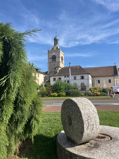 The image captures a sunlit outdoor scene in Évian-les-Bains, France, featuring a large stone millstone monument in the foreground. To the left, a dense, evergreen tree branches out, obscuring part of the view. Behind the tree, a road with a white line is visible. In the mid-ground, a light-colored building with red shutters stands adjacent to a taller, stone church tower with a clock. The church has a prominent spire and bell tower. Green grass with small white flowers covers the ground between the road and the buildings. In the background, a few vehicles, including a white van and a yellow vehicle, are present. The sky is a vibrant blue with scattered white clouds, indicating fair weather. The overall impression is of a peaceful, historic town square on a clear day.