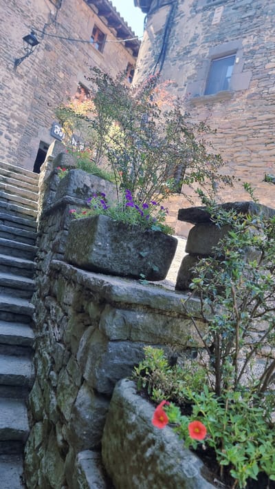 The image depicts a stone staircase ascending alongside a weathered stone wall in the historic village of Rupit i Pruit, Spain. Several stone planters are integrated into the wall, filled with greenery and small flowering plants, including purple petunias and red impatiens. A deciduous shrub with reddish leaves is visible in the foreground. The buildings adjacent to the staircase are constructed of stone, with wooden window frames and a tiled roof. A black outdoor lamp is mounted on one of the buildings. The scene is bathed in natural sunlight, casting shadows and highlighting the textures of the stone and foliage.