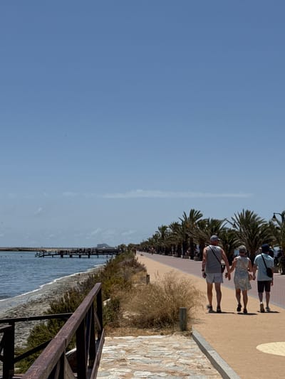 The image depicts a sunny day at the Lo Pagán promenade in San Pedro del Pinatar, Spain. In the foreground, a wooden railing and a stone pathway suggest a scenic overlook. The middle ground shows a wide, paved promenade lined with numerous palm trees, bordering a body of water. Three people, two women and one man, are walking hand-in-hand away from the camera along the promenade. The man in the center wears a grey tank top and shorts, the woman to his right wears a floral dress, and the man to her right wears a blue t-shirt and shorts. Further along the promenade, more people can be seen walking and a pier extends into the water. The sky is clear and blue with a few wispy clouds in the distance. The overall scene captures a leisurely atmosphere at a coastal location.