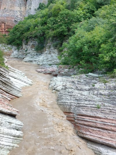 The image shows a muddy river flowing through a canyon with layered rock formations. Lush green trees grow on the upper slopes of the canyon. The rock layers are predominantly white and light gray, with some reddish-brown bands visible. The river's water is opaque and brown, indicating it is carrying a significant amount of sediment. The scene appears to be a natural landscape, possibly a gorge or a canyon carved by the river over time. The location is specified as being in the city of Madzhalis, Russia.