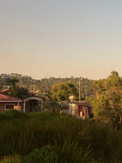 The image depicts a landscape in the city of Intibucá, Honduras. The scene is divided into three distinct sections. The foreground shows lush, overgrown vegetation. In the midground, there are houses and buildings. The background shows a distant view of a hillside covered in trees and vegetation. The sky is pale and hazy.