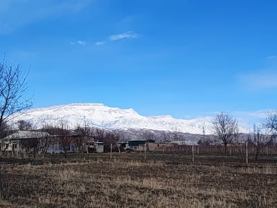 A rural scene showcases a snow-capped mountain range under a bright blue sky with scattered clouds. In the foreground, a field of dry grass and bare earth leads to a line of houses and trees devoid of leaves. Fences and utility poles punctuate the landscape, suggesting a settled area with a mix of natural and man-made elements. The scene evokes a sense of tranquility and isolation.