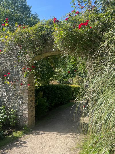 The image shows a gravel pathway leading through a garden archway covered in ivy and red roses. The archway is supported by a stone pillar on the left. Tall, feathery grass grows on the right side of the path. Beyond the archway, a neatly trimmed hedge lines the pathway, and further in the background, mature trees create a lush green backdrop. The sky above is a clear blue. The scene is set in the grounds of Ardgillan Castle, Balbriggan, Ireland.