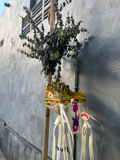 In the city of North Kuta, Indonesia, an outdoor scene depicts a traditional Balinese offering or decoration prominently displayed against a textured, gray concrete wall. The primary subject is a tall, wooden pole, likely bamboo, supporting a yellow, intricately carved wooden structure. This structure is adorned with painted green and white floral motifs and features a decorative, possibly animal-like face with yellow and black accents. Suspended from the wooden structure are several decorative elements made from woven palm leaves. These hanging elements are long and slender, with some incorporating strips of pink and purple paper or fabric. Above the wooden structure, a cluster of dry, leafy branches is attached to the pole, with some green leaves still present. A dark pipe runs vertically up the concrete wall behind the decoration. The wall itself is rough and weathered, with visible imperfections and streaks. To the left of the pole, a raised concrete ledge with some dirt and debris runs along the base of the wall. The overall lighting suggests it is daytime, with shadows cast on the wall by the decoration and branches.