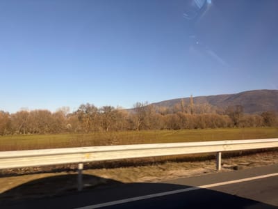 The image presents a rural landscape viewed from a moving vehicle, indicated by reflections on the upper left quadrant and the immediate foreground elements. The lowest portion of the frame shows a dark asphalt road surface with a white lane line visible on the right. A prominent curved shadow, consistent with a vehicle's undercarriage, is cast on the road and extends onto a portion of the guardrail. A light-colored, multi-bar metal guardrail runs horizontally across the lower mid-frame, supported by dark vertical posts. Beyond the guardrail, a field of dry, brownish-green grass and vegetation extends. This field is bordered by a dense line of deciduous trees, predominantly bare or with sparse brown foliage, stretching across the mid-ground. In the background, a range of dark, undulating mountains is visible, rising against a clear, bright blue sky that occupies the upper two-thirds of the image. No individuals or specific actions are discernible. The scene is located in the vicinity of Piedrahíta, Spain.
