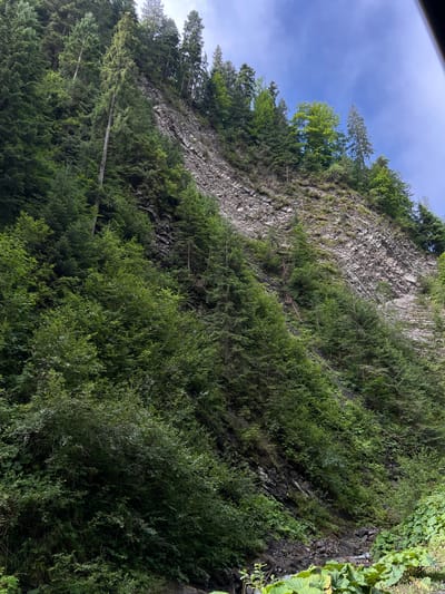 The image depicts a steep, rocky mountainside covered in lush green conifer trees and smaller deciduous vegetation. The rock face shows distinct layering, suggesting a natural geological formation. The sky above is partly cloudy with a bright blue sky visible. The scene appears to be a natural landscape, likely in a mountainous region. The location is the Ukrainian Carpathians, possibly near Yasinya, a town known for its natural beauty and mountainous terrain. The image focuses on the vastness of the natural environment, with no visible human presence or man-made structures.
