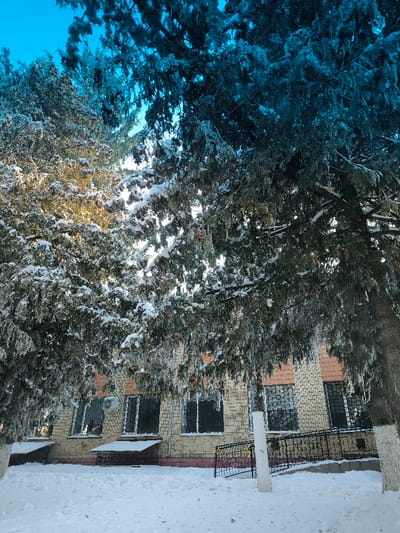 A low-angle shot captures a snow-covered landscape. A light brick building stands with barred windows, partially obscured by snow-laden evergreen trees. The trees on the left are lighter, perhaps illuminated by the sun, while those on the right are a darker blue hue. Patches of clear blue sky are visible through the trees. A snowy ground and a white pole complete the winter scene.