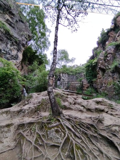 This media file depicts a natural scene with a prominent tree in the foreground. The tree's exposed roots are spread across a rocky, uneven terrain. In the background, steep, rocky cliffs covered in greenery rise up. A narrow pathway with a metal railing winds through the scene, leading towards a small waterfall cascading down the rocks. Two individuals can be seen walking on the path, their backs to the camera.

Above the cliffs, a modern metal structure is visible, suggesting it is a bridge or an overhead walkway. The sky is overcast, indicating a cloudy or possibly damp day. The overall impression is one of a rugged, natural landscape that has been integrated with man-made elements for accessibility and observation. The location is identified as Krasny Kurgan, Russia. There is no visible text in the image.