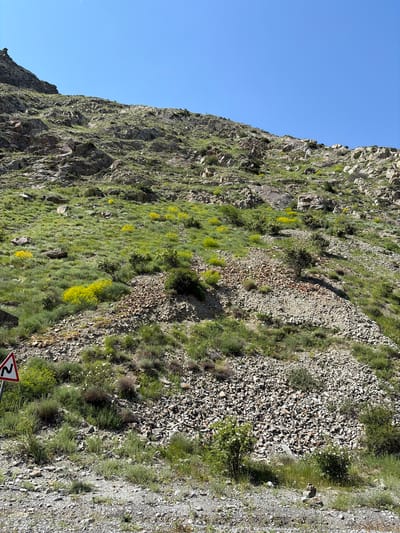 The image depicts a steep, rocky mountainside covered in sparse green vegetation and scattered yellow wildflowers. The terrain is uneven, with large rocks and scree present. In the lower left corner of the image, a triangular road sign with a black zigzag line on a white background, bordered in red, is visible. The sky above is a clear, bright blue. The scene appears to be a natural landscape, likely a roadside view in a mountainous region.