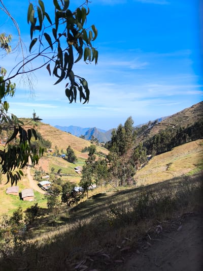 The image depicts a rural landscape in San Ignacio, Peru. Hilly terrain covered in dry grasses dominates the scene, with patches of trees and cultivated areas visible in the valleys. Scattered dwellings with simple roofs are nestled in the lower elevations. In the distance, mountain ranges fade into the blue sky. A tree branch with dark green leaves occupies the upper left corner, partially obscuring the view. The foreground shows a dirt path and shadowed grasses.