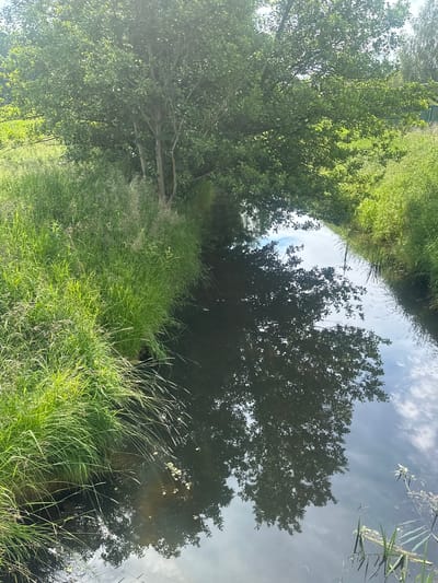 The image depicts a narrow body of water, likely a canal or small river, flowing through a lush green environment. Tall, dense grass lines the banks of the water. Overhanging trees with full green foliage cast shadows and are reflected on the water's surface. The sky, with scattered clouds, is also reflected in the water, creating a mirror image of the surroundings. The scene appears to be a natural or semi-natural landscape, possibly within a park or rural area. The location is identified as Czarnowo, Poland. There are no people or animals visible in the image.