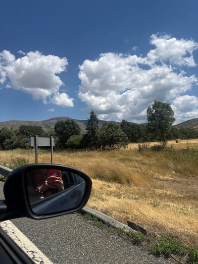The image is a first-person perspective shot, looking forward from inside a vehicle. The foreground shows the asphalt road with a white line on the left side and a grey concrete barrier along the right edge. A side-view mirror is prominently visible on the left, reflecting a young woman holding a pink smartphone up to take a selfie. The woman has blonde hair and is wearing a light-colored top.
Beyond the road, the landscape consists of dry, golden grasses and scattered trees. In the middle ground, there is a grey signpost with a white rectangular panel on it, located on the left side of the road. Further back, a line of dense green trees forms a backdrop, with rolling, barren hills in the distance under a bright blue sky with fluffy white clouds. The scene is consistent with a rural or semi-rural area, and the dry vegetation suggests it is likely summer. This landscape aligns with the scenery found in the municipality of El Espinar, Spain, known for its natural beauty and pine forests, often experiencing dry summers.