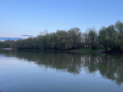 The image depicts a body of water, likely the Danube River, reflecting a line of trees along its bank. The location is Harsova, Romania, as indicated by local landmarks that can be recognized in the image. The sky is a pale blue, suggesting either dawn or dusk. The water is calm, with subtle ripples. The trees are a mix of deciduous and evergreen varieties, their foliage creating a dense green barrier. There are no people visible in the image. A sign can be seen on the shore.