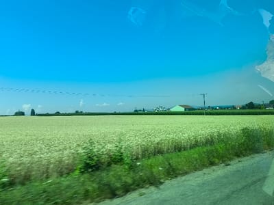 A vast, green field fills the lower half of the frame under a bright blue sky. The field appears to be full of mature crop, likely wheat or barley. In the distance, a scattering of buildings is visible, including a long, green structure and houses. An electrical pole rises in the middle ground. The foreground is somewhat blurry, possibly due to motion or the presence of glass. Some smudges or imperfections are visible on the right side of the image, potentially indicating a window.