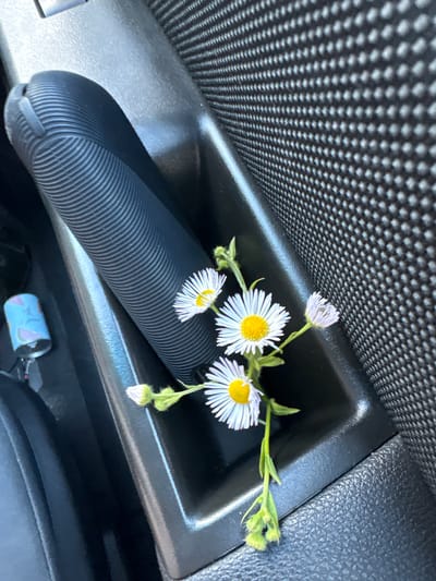The image shows a close-up view of a car's interior, specifically a compartment near the handbrake. A small bouquet of daisy-like flowers with white petals and yellow centers is placed in this compartment. The background features the textured surface of the car's dashboard or door panel. In the lower left corner, a small, cylindrical object, possibly a can or a dispenser, is visible. The overall impression is that of a simple, perhaps unexpected, arrangement of nature within a man-made environment. The location of Byala Reka, Bulgaria is not discernible from the image itself.