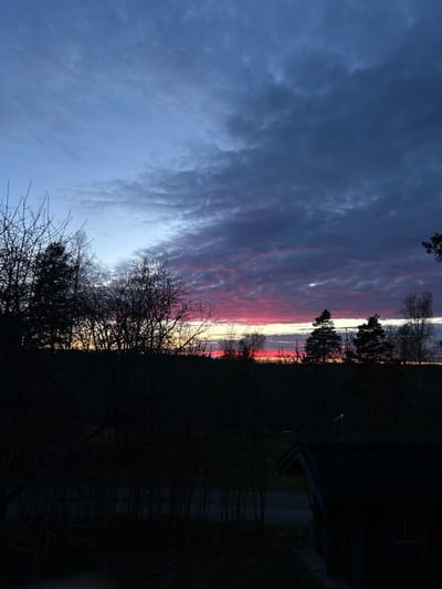 This image captures a dramatic sunset or sunrise over a natural landscape, likely in Gränsta, Sweden, given the location context. The sky is the most prominent subject, displaying a vibrant array of colors. Along the horizon, brilliant reds, oranges, and yellows glow intensely, suggesting the sun's position. This fiery band transitions upwards into deep magenta, purple, and eventually darker blues and grays in the upper left portion of the sky. The clouds are textured and elongated, particularly in the middle where they catch the most vivid light, forming streaks across the horizon.
In the foreground and midground, a dense silhouette of bare trees and vegetation dominates the lower half of the frame. The intricate patterns of their leafless branches stand out against the colorful sky, suggesting the season is either late autumn, winter, or early spring. On the far right, a dark, underexposed structure, possibly a house or shed, is partially visible with its roofline and a discernible window, hinting at human presence without being a focal point.
The scene depicts a serene yet powerful moment at either dawn or dusk, with the low light creating strong contrasts between the radiant sky and the almost completely dark silhouettes below. There is no discernible activity taking place, nor are there any people or visible text in the image. The weather appears clear enough for such a vivid display of colors in the sky, with structured clouds adding to the visual drama.