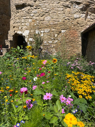 The image depicts an outdoor scene in Schmittweiler, Germany, dominated by a vibrant flower garden situated in front of an ancient stone structure. The foreground is densely populated with various blooming flowers, including large and small sunflowers, pink, fuchsia, white, and red cosmos, clusters of yellow Black-Eyed Susans, and scattered purple coneflowers (Echinacea) alongside smaller blue, orange, and yellow blossoms. The flowers are interspersed within lush green foliage. In the background, a tall wall constructed from irregular, rough-hewn stone blocks, exhibiting shades of tan, grey, and reddish-brown, serves as the backdrop. On the left, this stone wall forms a rounded tower section with a dark, arched opening at ground level and visible stone steps to its left. To the right, an adjacent section of the stone wall features a dark vertical downspout and gutter system on its upper right side. No people are present, and no active interactions or movements are depicted. The scene is illuminated by natural light, indicating an outdoor, daytime setting.