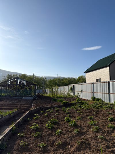 The image depicts a rural landscape in Termal'nyy, Russia, under a clear blue sky with sparse clouds. In the foreground, a garden bed is visible, with rows of small green plants growing in dark soil. To the left, a greenhouse structure with a damaged roof is partially visible, surrounded by greenery. A metal fence runs along the right side of the image, separating the garden from a property with a modern house featuring a green roof and light-colored siding. The background shows a gentle slope covered with trees and hills, with a power line visible against the horizon. The overall scene suggests a residential area with agricultural activity.