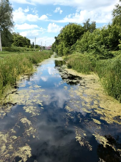 The image depicts a serene canal scene in Zolotonosha, Ukraine. The canal is bordered by lush green vegetation on both sides, with a dense canopy of trees on the left and tall grasses and reeds on the right. The water in the canal is dark and reflects the sky, which is a vibrant blue with scattered white clouds. Patches of green algae or duckweed float on the surface of the water, creating a textured contrast with the dark water and reflections.

In the distance, along the right bank, there appears to be a small cluster of buildings, possibly houses or businesses, with some structures having red roofs. Utility poles and wires are also visible, suggesting the presence of a nearby settlement. On the grass verge near the water's edge on the right, a few figures can be seen, but they are small and indistinct, making it difficult to determine their activity or identity. The overall impression is one of a tranquil, natural setting on a bright, likely sunny day, given the clear sky and strong reflections. The time of day appears to be daytime, possibly late morning or afternoon. The scene evokes a sense of peace and quietude, typical of a rural or semi-rural landscape. No visible text is present in the image.
