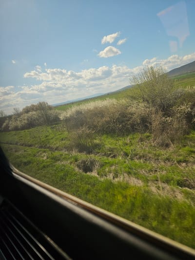 The image is a view through a window of a moving vehicle, possibly a car or train. The exterior view shows a landscape with a clear blue sky with scattered white clouds on the left side. The right side shows a field of green grass and vegetation with areas of brown patches, possibly denoting drier sections. A row of trees, potentially in bloom with white flowers, separates the sky and field. The vehicle's window frame is visible in the foreground, with dark gray or black interior elements also visible. The location is near Klikach, Bulgaria.