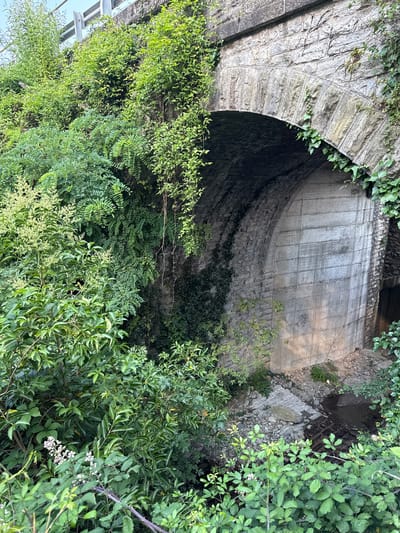 This image depicts an overgrown archway, likely a bridge or an aqueduct, situated in a natural, somewhat neglected setting. The stone of the arch is aged and weathered, with segments of concrete forming a curved wall within the structure. Lush green vegetation, including ivy and other leafy plants, aggressively encroaches on the stonework, with dense foliage obscuring much of the view and creating a sense of wildness. A small, dark opening is visible at the top of the arch, hinting at the structure's purpose. Below and to the right of the arch, there is a rough, rocky area with some evidence of past construction or erosion, including scattered stones and a small pool of dark water. The time of day appears to be daytime, with diffused light suggesting an overcast or shaded environment. The overall impression is one of nature reclaiming man-made structures, evoking a sense of history and the passage of time. The location context provided is Cremia, Italy, which aligns with the aesthetic of old European infrastructure often found in such regions. No people, text, or specific events are visible.