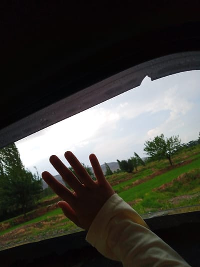 A person's hand, with fingers spread, is visible in the foreground, placed against a window. The hand and arm are wearing a light-colored long-sleeved shirt. Through the window, a vibrant green landscape unfolds. Terraced fields, predominantly lush green, are interspersed with patches of brown, suggesting cultivated land. Several trees are scattered throughout the scene, some appearing full and leafy, while others are more sparse. In the distance, rolling hills or mountains are faintly visible under a partly cloudy sky. The lighting suggests it is either early morning or late afternoon. The overall mood is one of peaceful observation of the natural scenery. The image appears to have been taken from inside a vehicle, as indicated by the dark frame of the window and the interior darkness in the upper left corner. There is no visible text in the image. The location context is Suzak, Kyrgyzstan.