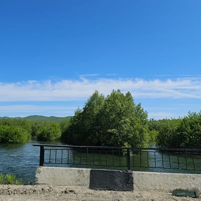 This is a vertical, wide-angle, outdoor photograph taken on a clear, sunny day, likely in the late morning or early afternoon, given the bright sunlight and the shadows cast. The scene depicts a section of a waterway, possibly a canal or river, bordered by lush green trees and vegetation.

In the foreground, a concrete embankment with a rough texture is visible on the right side of the frame. Attached to the embankment is a black metal ladder that descends into the water. The water itself appears clear and slightly rippled, reflecting the blue sky and surrounding greenery.

The waterway leads towards a backdrop of rolling, tree-covered hills under a bright blue sky. The sky is dotted with thin, wispy white clouds that stretch horizontally across the frame, creating a sense of depth. The overall atmosphere is serene and natural, conveying a feeling of peacefulness and the beauty of a summer day in a rural or semi-rural setting. There are no people or animals visible in the image. No text is present.