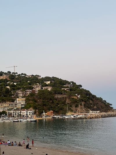 The image depicts a coastal scene in Llafranc, Spain, likely taken at dusk. The foreground features a sandy beach with several groups of people. Some individuals are seated on the sand, while others are standing or wading in the shallow water. Children can be seen playing in the water. Beyond the beach, a calm body of water, likely a bay or harbor, is visible, filled with numerous boats of various sizes, including sailboats and smaller motorboats. These boats are docked along a stone breakwater.
In the background, a densely wooded hill rises from the coastline, dotted with buildings and houses nestled amongst the trees. Some of these structures appear to be residential buildings, while others might be hotels or apartments. A construction crane is visible on the upper part of the hill, suggesting ongoing development. The sky above is a pale, gradient blue, transitioning towards a lighter hue near the horizon, characteristic of twilight. The overall atmosphere is serene and depicts a popular tourist destination.