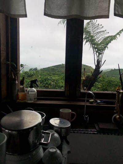 The image depicts an interior view looking out a window at a landscape in Thôn 4, Vietnam. The foreground is dominated by a kitchen sink area with various objects, including pots, bowls, a mug, a spray bottle, and a peeler. Through the window, a lush green hillside covered in what appears to be agricultural terraces or plantations stretches into the distance under a cloudy sky. A large fern-like plant is visible outside the window on the right. The overall lighting suggests an overcast day.