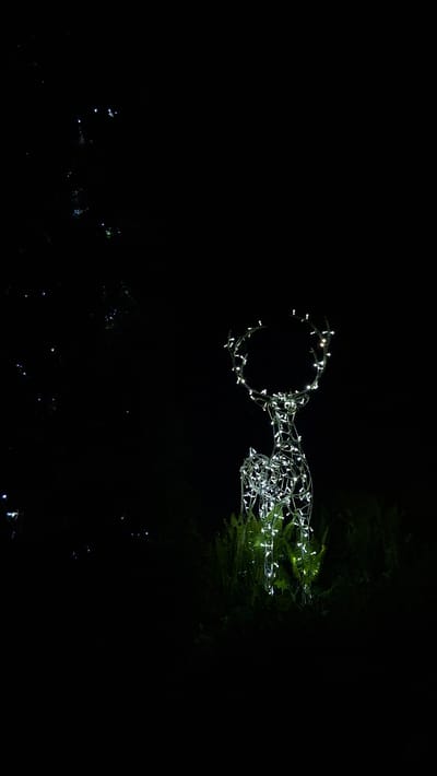 A wireframe reindeer decoration illuminated with white lights stands next to a patch of green foliage in the dark. Below the reindeer, there are scattered points of light. The location is not discernible from the image.