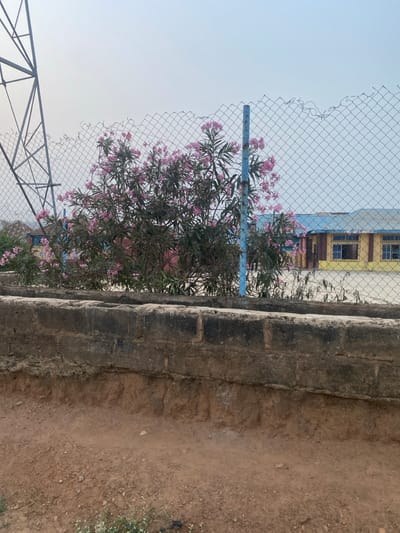 The image depicts an outdoor area in Odo Ona, Nigeria. The foreground consists of reddish-brown soil. A low, weathered concrete block wall, dark grey in color, runs horizontally across the lower mid-section, displaying two stacked tiers. Directly behind this wall, a dense bush with multiple clusters of pink flowers is visible. A chain-link fence, featuring a damaged or irregular top edge and supported by a prominent blue metal post on the right, is positioned behind the bush. A section of a metal lattice transmission tower is partially visible on the far left through the fence. In the background, a building with yellow walls and a light blue corrugated metal roof is observed through the fence and vegetation, featuring several dark-framed windows. Additional structures with reddish roofs are partially discernable on the far left. The sky overhead is a pale, hazy grey-blue. No individuals are present.