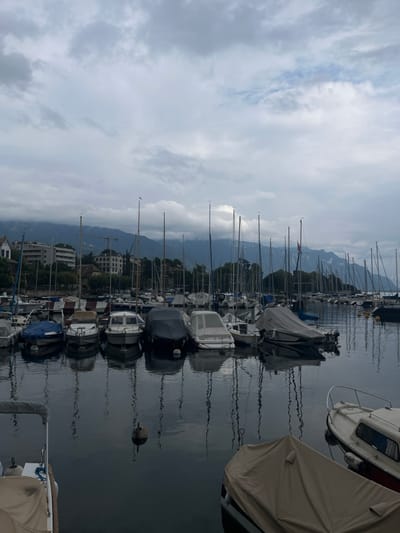 The image depicts a marina located in La Tour-de-Peilz, Switzerland. Numerous boats are moored in the calm, dark water, including a dense concentration of sailboats with tall, slender masts and various smaller motorboats. Many of the vessels, particularly the motorboats, are covered with protective tarpaulins of varying colors (tan, blue, dark grey). The water's surface reflects the vertical lines of the boat masts and the overcast sky. In the background, along the shoreline, multi-story buildings and dense tree lines are visible. A construction crane is also discernible among the buildings. Distant mountains, partially obscured by clouds, form the horizon line. The sky is uniformly overcast with shades of light to dark grey clouds. No individuals are present within the frame.