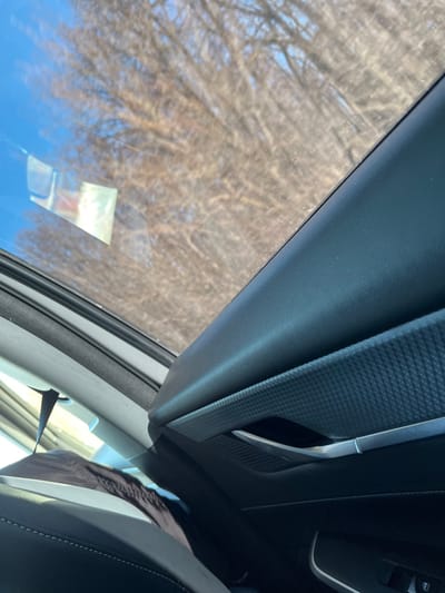 The image presents an interior view from a vehicle, looking outward through a passenger-side window and roof area at an outdoor environment in Zainsk, Russia. The foreground on the right is dominated by a dark-colored car door panel, featuring a textured diamond-patterned insert and a metallic silver door handle. Below the handle, a portion of a window control panel with a silver accent is visible. A dark leather car seat with white stitching is partially visible in the bottom left. The upper and left portions of the image show the exterior, characterized by a dense stand of deciduous trees with bare, brownish-gray branches, indicating a late autumn, winter, or early spring season. Patches of clear blue sky are visible through the tree canopy and reflected on the vehicle's glass surfaces. The scene is brightly illuminated by daylight. No individuals, specific actions, or interactions are depicted.