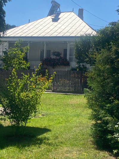 The image depicts a sunlit scene in Filioara, Romania, featuring a charming house with a white-tiled roof and a covered porch. A solar water heater is visible on the peak of the roof, along with a chimney. The house is framed by lush greenery, including a vibrant bush with yellow flowers in the foreground and a dense evergreen tree on the right. A weathered wooden fence separates the yard from the house. The yard is covered in neatly mowed green grass, with visible shadows cast by the trees. The sky is a clear, bright blue.