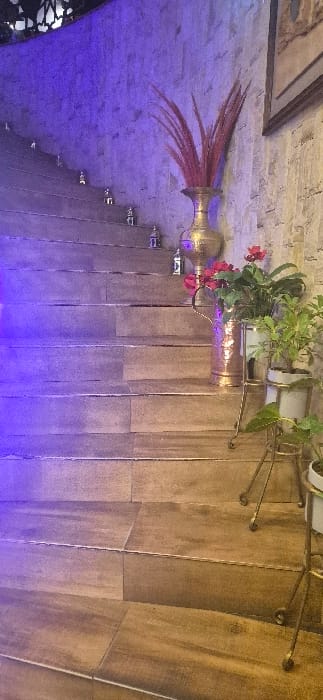 A wall showcases textured, earthy tiles interspersed with decorative elements. A vase holding red feathers and flowers, illuminated by a blue light, adds a vibrant touch. Above, a green potted plant sits on a metallic shelf, complementing the overall warm color scheme of the wall. The composition creates a visual blend of nature and artistic decor.