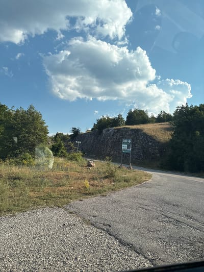 The image depicts a roadside scene in Rudinice, Montenegro, on a sunny day with scattered clouds. The foreground shows a gravelly road on the right, with a strip of dry grass and vegetation on the left. Behind the vegetation, a rocky incline rises, partially covered with trees and shrubs.
A green sign with white text is visible on the rocky incline. The text on the sign appears to read "RIJEČKO JEZERO," which translates to "Rijeka Lake." This suggests the location is near a lake. The overall impression is a natural, somewhat wild landscape typical of a mountainous or rural area. The bright sunlight suggests it is daytime, likely late morning or afternoon. No people or specific activities are visible, but the presence of the road implies it is a route for travel. The scene is serene and captures the natural beauty of the location.
