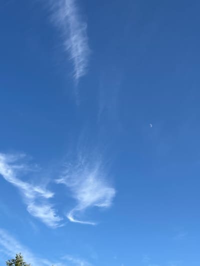 A clear blue sky dominates the frame, with wispy white clouds scattered across it. A crescent moon is visible in the upper right quadrant of the sky. In the lower left corner, the tops of green leaves and branches of a tree are visible. The image appears to be taken from an outdoor location, likely residential, given the presence of trees. The sky suggests daytime, but the presence of the moon indicates it is not the brightest part of the day. The scene is serene and natural, devoid of any human presence or activity. No specific landmarks or structures of the city of Московский Литератор Снт, Russia, are identifiable within the frame.