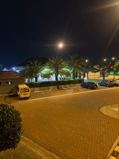 Captured at night, the image presents a view of a street in La Aurora, Ecuador. A row of palm trees lines the road, illuminated by streetlights. Several vehicles, including a yellow van and multiple dark-colored cars, are parked along the side of the street. The street is paved with interlocking red-brown stones. A trimmed green bush is present in the lower right corner of the frame. A building is visible behind the palm trees, with a tiled roof. The night sky is dark.