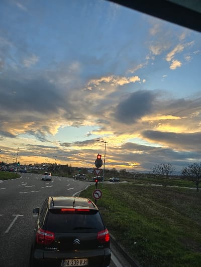 The image displays an outdoor road scene at dusk or sunset, viewed from inside a vehicle at an intersection or roundabout in Fegersheim, France. The immediate foreground features the rear of a dark-colored Citroën C4 hatchback, stationary with illuminated red brake lights and displaying a French license plate "BA-339-HJ". The vehicle is positioned on asphalt marked with white dashed lines.

To the right of the Citroën, a traffic light pole holds a red traffic signal, a triangular 'yield' sign, and a circular 'no left turn' sign. Further into the intersection, a multi-lane roadway or roundabout extends to the left, occupied by several other vehicles, some with illuminated headlights. Another traffic light further left appears green. To the right of the road, a grassy, uncultivated verge with sparse, bare deciduous trees extends into the background. Distant, indistinct structures are visible on the horizon. The upper portion of the image is dominated by a sky displaying a mixture of blue, grey, and golden-orange clouds, illuminated by the setting sun near the horizon. No individuals are visible within the frame.