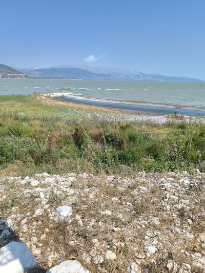 The image depicts a scenic view of Eğirdir Lake in Eğirdir, Turkey, under a clear blue sky. The foreground is a rocky, dry landscape with sparse vegetation and white stones. A narrow strip of dry land with scattered green plants and some pink flowers separates the foreground from the lake. The lake itself is a muted green color, with ripples on its surface and several small islands or sandbars visible in the distance. Beyond the lake, a range of hazy, blue-toned mountains forms the horizon. The overall impression is of a natural, somewhat arid environment.