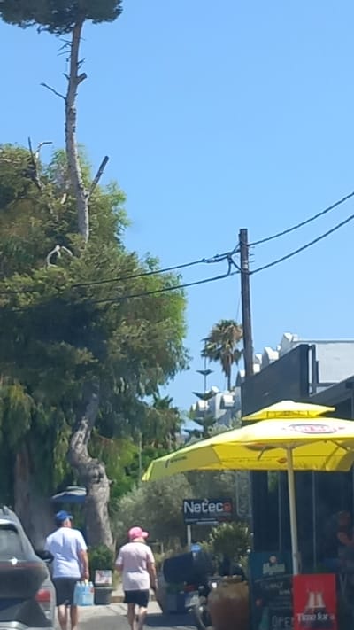 The image depicts a street scene in a sunny, Mediterranean environment. The foreground features a paved pathway with two individuals walking away from the camera. The person on the left, wearing a blue cap, white t-shirt, and shorts, carries a multipack of water bottles. The person on the right, wearing a pink hat, pink t-shirt, and dark shorts, walks beside them. Behind them, a dark-colored car is partially visible on the left.

Further into the scene, yellow umbrellas are prominently displayed, suggesting an outdoor seating area for a business. A sign with the text "Neteco" is visible behind one of the umbrellas. A wooden utility pole with power lines runs vertically through the mid-ground, with lush green trees and foliage on either side. In the background, a distinct tall, slender tree with sparse branches dominates the left side of the frame, reaching towards a clear blue sky. Some modern architecture with light-colored facades is visible on the right side of the background, with a palm tree peeking through. The overall impression is a bright, summer day in a coastal town.