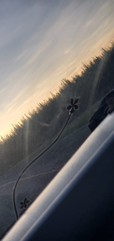 The image shows a view through a vehicle window, likely the windshield or side window. The sky is visible outside, with a gradient from light blue at the bottom to orange-yellow at the horizon, suggesting either sunrise or sunset. A line of trees or vegetation is visible along the horizon, reflected in the glass. Inside the vehicle, there are decorative flower-shaped cutouts and a line or wire visible on the interior surface of the window. The location is Kisima ward, Kenya.