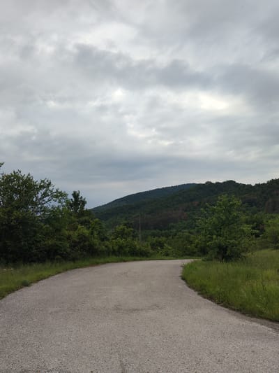 The image presents a rural landscape likely in the vicinity of Skravena, Bulgaria, though this is not definitively confirmed within the visual information. A narrow, paved road occupies the foreground, curving gently into the distance. The road surface is light gray with visible aggregate. On either side of the road, verdant grass and shrubbery border the pavement. Beyond the immediate roadside, a densely forested hillside rises. The trees are primarily deciduous, with a uniform green coloration indicating a lush and healthy environment. The sky is overcast with a thick layer of gray clouds. The overall atmosphere is subdued and peaceful. There are no people or animals visible. The scene depicts a quiet, natural environment. The details are consistent with a mountainous or hilly area in a temperate climate.