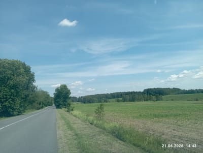 The image captures a rural roadside scene under a bright, partly cloudy blue sky, dated June 21, 2026, at 14:43. A paved asphalt road with a white dividing line stretches into the distance, bordered on the left by a dense line of green trees and foliage. To the right of the road, a large agricultural field, predominantly planted with young green crops, extends towards a distant treeline. The landscape appears to be flat or gently rolling, with patches of dry, bare earth interspersed within the cultivated field. Several individual trees are scattered across the field and along the roadside. The overall environment suggests a sunny day in a rural agricultural area. The location is specified as Khatsyentsy Village Council, Belarus.