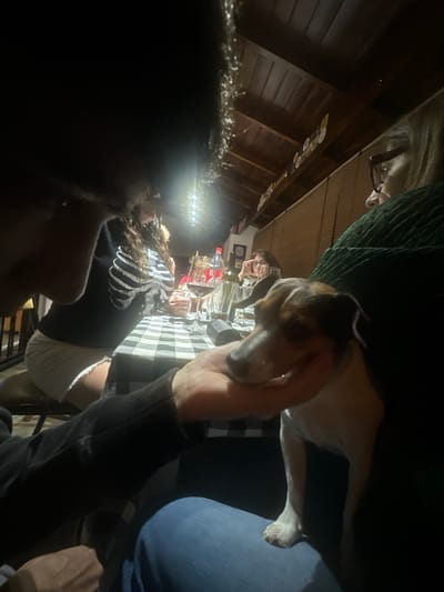 This candid, low-light image captures an informal gathering indoors, likely in Villa Juan Martín de Pueyrredón, Argentina, during the evening or night. The perspective is tilted, showing a group of people and their pets around a table.

In the foreground, a person with dark, curly hair or a beard is partially silhouetted, facing right. The central focus is a table adorned with a black and white checkered tablecloth. Various items are visible on the table, including clear glasses, decorative containers, and a prominent red Coca-Cola bottle.

A small, brown and white dog, possibly a Jack Russell, is featured prominently in the center, resting on someone's arm or lap while being gently petted. To the right, a white cat is seen stretching on the lap of a person wearing blue jeans.

Other individuals are partially visible: at the top left, a person with glasses and light hair, wearing a green garment, appears partially inverted due to the camera angle. Another person with glasses is seen in the mid-background, seated at the table. A person wearing a black sweater with a white skeleton design is also seated at the table.

The background shows wooden paneling on the walls or ceiling, decorated with circular ornaments strung along a beam. A bright, artificial light source, possibly an LED strip, illuminates the upper left area. The scene conveys a relaxed, convivial atmosphere, indicative of a casual social event with pets. The "Coca-Cola" brand name is clearly visible on the bottle.