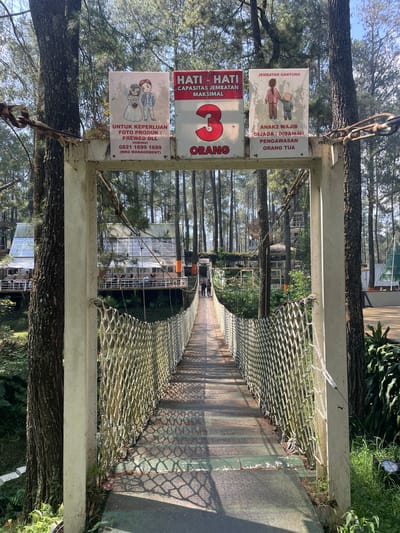 This detailed description portrays a sunny outdoor scene in Cikole, Indonesia, centered on the entrance of a pedestrian suspension bridge within a dense pine forest.

In the immediate foreground, a white, rectangular metal archway spans the bridge's starting point, supported by thick, dark-barked tree trunks on both the left and right sides. Heavy metal cables and chains are anchored to the archway and trees, providing structural stability. Affixed to the horizontal beam of the archway are three distinct rectangular signs.

The leftmost sign features a cartoon illustration of a bride and groom in formal wedding attire. Below the illustration, Indonesian text reads "UNTUK KEPERLUAN FOTO PRODUK / PREWED DLL HUBUNGI 0821 1699 1699 (WKG MANAGEMENT)", indicating contact information for product and pre-wedding photography. The central sign, prominently colored red and white, displays a large red numeral "3" and the Indonesian text "HATI-HATI KAPASITAS JEMBATAN MAKSIMAL 3 ORANG", warning that the maximum bridge capacity is 3 people. The rightmost sign illustrates an adult holding a child's hand. Indonesian text states "JEMBATAN GANTUNG ANAK2 WAJIB DIJAGA / DIBAWAH PENGAWASAN ORANG TUA", advising that children on the suspension bridge must be supervised by adults.

The suspension bridge extends into the midground, its deck composed of worn metal plates, some exhibiting a diamond plate pattern and others appearing to have a faded green coating. The sides of the bridge are guarded by white rope netting, which casts distinct, intricate shadows onto the sunlit bridge deck, indicating a high sun angle from the left. Two indistinct individuals are visible walking on the bridge further down its length, moving away from the viewer.

The surrounding environment is characterized by numerous tall, slender pine trees with rough, dark bark and sparse green foliage, creating a forest-like canopy overhead. A bright, clear blue sky is visible through the tree cover. To the left of the bridge, a multi-level structure with a modern, translucent or glass-paneled roof and open balconies is visible, where several people are seated at tables, suggesting a cafe or restaurant. Further into the background on the right, another structure with a distinctive green, conical or triangular roof can be seen amidst the trees. The ground beneath the bridge and in the immediate vicinity is covered with green vegetation.