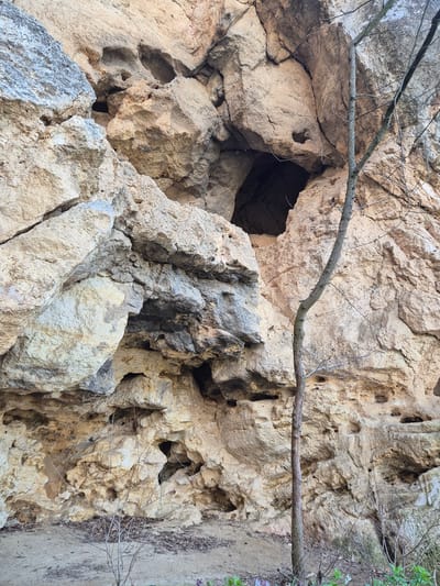 The image shows a rock formation with several holes and crevices. A dry tree branch extends across the upper portion of the rock. The rock's texture is rough and uneven, with variations in color from light beige to gray. The location of the rock is unspecified. The city of Ivanovo, Bulgaria is not visible in the image.