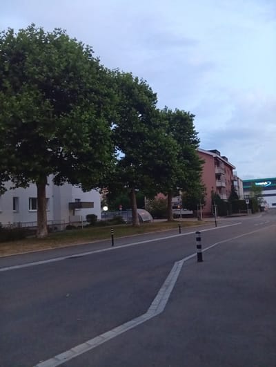 The image shows a street scene in Langenthal, Switzerland. In the foreground, there is an asphalt road with white lane markings and a grey and white striped bollard. To the left of the road, there is a grassy area with a sidewalk and some trees. Beyond the trees, there is a white building with windows. Further down the street, on the right side, there is a multi-story brick building and a green building with a sign that reads "bossinfo". The sky is overcast. There are no people visible in the image.